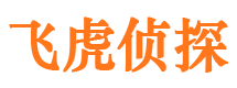 伍家岗市私人侦探